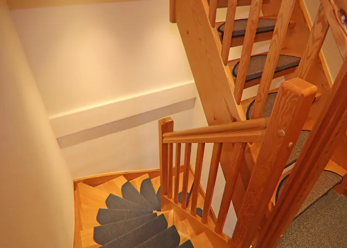 In The Mueritz National Park,